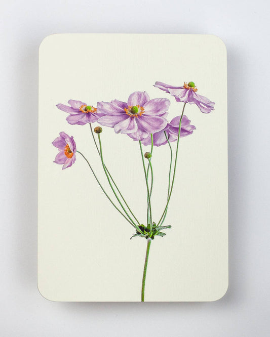 Anemone Notecard