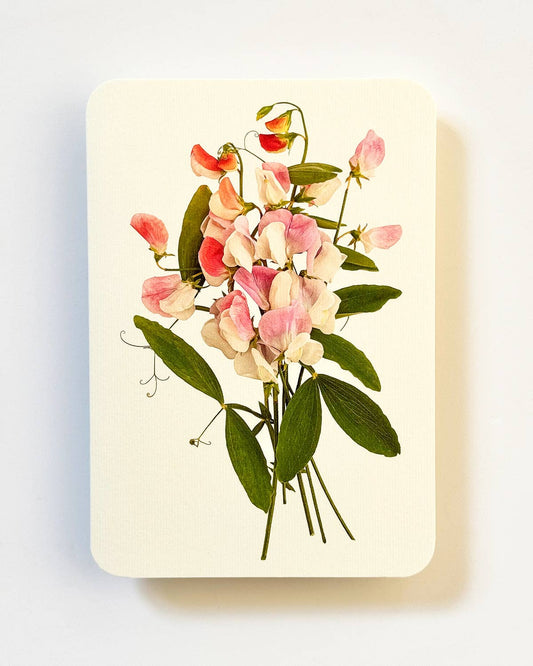 Pink Sweet Peas Notecard