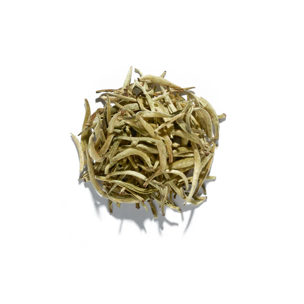 Silver Needle Tea / Dayside