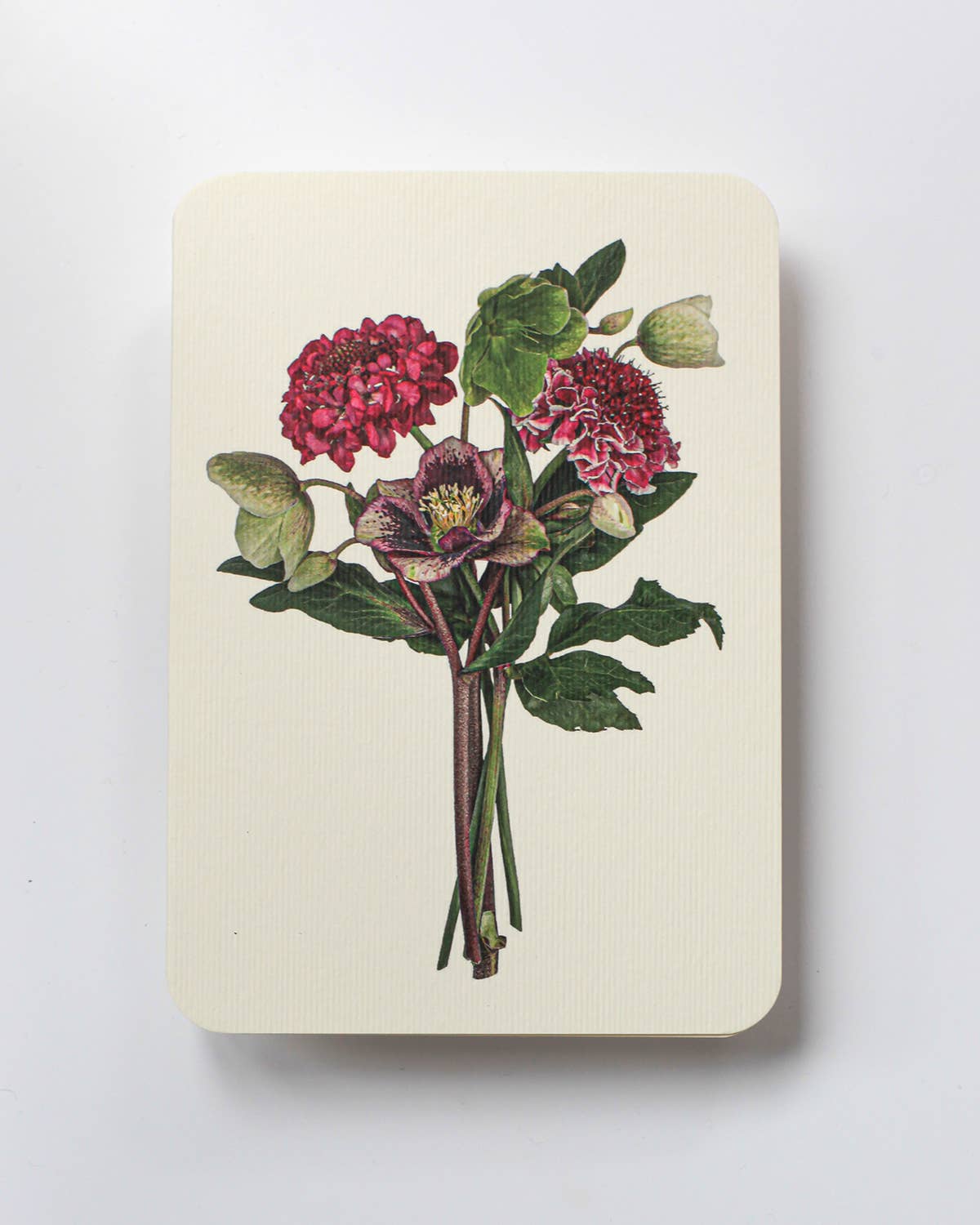 Posy of Hellebore & Scabiosa II Notecard